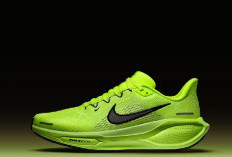 Lengkap! Daftar Harga Sepatu Nike Original Tahun 2026