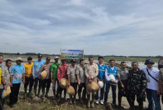 Akselerasi Ketahanan Pangan Daerah, PLN Hadirkan Listrik Andal untuk Pertanian Modern