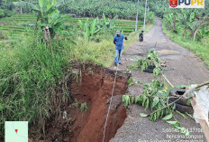 Kolaborasi DPUPR-BPBD Lambar, Jalan Putus Gedungsurian Segera Dibangun Permanen