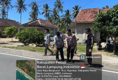 Kecelakaan di Jalinbar Ngambur, Pengendara Motor Meninggal di Tempat