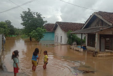 Ratusan Rumah di Lampung Utara Terdampak Banjir, Warga Harap Solusi dari Pemda