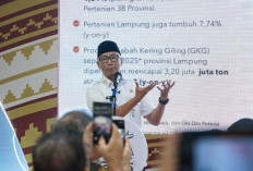 Hilirisasi Jadi Fokus, Pemprov Lampung Percepat Ekonomi Berbasis Kolaborasi
