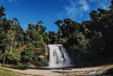 Pesona Air Terjun Tujuh Tingkat di Jantung Kalimantan Barat