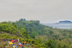 Bukit Larangan Panceng, Menikmati Panorama Hijau dari Ketinggian Gresik