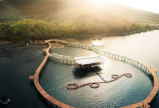 Dermaga Kerapu, Pesona Wisata Bahari di Situbondo