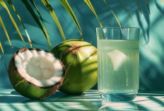 Minum Air Kelapa Setiap Hari: Segudang Manfaat atau Justru Berisiko? Ini Penjelasan Lengkapnya