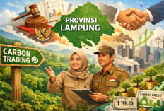 Pemprov Lampung Matangkan Pengembangan Perdagangan Karbon, Masih Tunggu Juknis Pusat