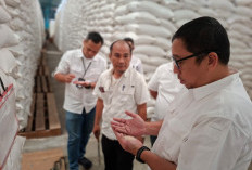 BULOG Lampung Perkuat Ketahanan Pangan Lewat Penyerapan Hasil Panen Petani