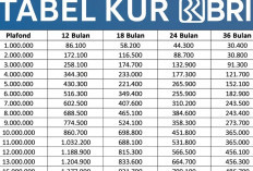 KUR BRI Rp20 Juta Tahun 2026 Jadi Andalan UMKM, Bunga Rendah dan Cicilan Fleksibel