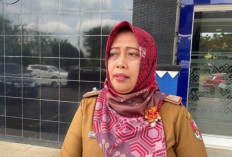 Belum Ada Kejelasan, Gaji PPPK Paruh Waktu dan Jaspel Nakes Lampung Utara Masih Tunggu Regulasi