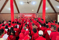 PDI Perjuangan Pesisir Barat Gelar Musancab, 11 PAC Resmi Dilantik