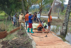 Swadaya Warga Buay Nyerupa Buka Akses Jalan Pertanian, Dorong Produktivitas Petani