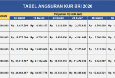 KUR BRI 2026: Pinjaman Rp250 Juta Bisa Diakses Pelaku UMKM, Cicilan Mulai Rp4 Jutaan per Bulan