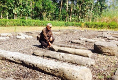 Situs Bleberan: Jejak Peradaban Megalitikum di Gunung Kidul