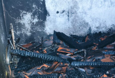 Kebakaran di Pesisir Tengah Tewaskan WNA Asal Jerman, Diduga Korsleting Listrik