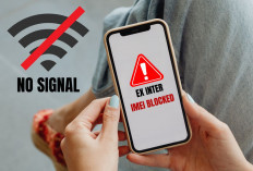 Jangan Tertipu! Ciri-ciri iPhone ‘Ex-Inter’ yang Ilegal dan Rawan Blokir