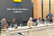 PLN UID Lampung Dukung Penyempurnaan RUU Ketenagalistrikan Demi Ketahanan Energi Nasional