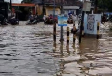Hujan Deras Picu Banjir di Bandar Lampung, BPBD Catat 44 Lokasi Terdampak