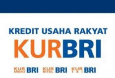 KUR BRI 2026 Solusi Pembiayaan Usaha dengan Bunga Ringan dan Plafon Hingga Rp 500 Juta