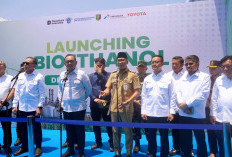 Dari Pertanian ke Energi, Lampung Siapkan Ekosistem Bioetanol Skala Nasional