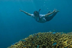 Eksotika Snorkeling di Gili Ketapang, Permata Pantai Utara Probolinggo Jawa Timur