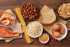 Metabolisme Protein dan Perannya bagi Energi serta Kesehatan Tubuh