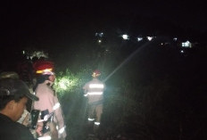 Diduga Puntung Rokok, Lahan Rumput Kering di Pekon Ampay Bandar Lampung Terbakar