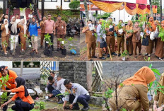 Kampanye Pohon Asuh, Komitmen PPPK Lampung Selatan Jaga Lingkungan