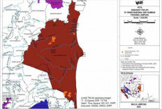 WALHI Soroti 74 Titik Api di Way Kambas, Desak Evaluasi Sistem Pencegahan