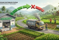 Serapan Pupuk Subsidi Lampung Barat Masih Rendah, Baru Capai 8,74 Persen