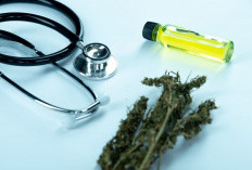 Cara Menghilangkan Efek Ganja dalam Proses Rehabilitasi Pecandu Narkoba