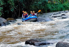 Arung Jeram Timbukar Manado, Sensasi Menantang di Sungai Nimanga