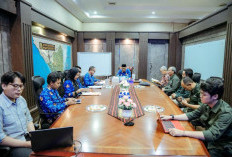 Gubernur Mirza Bentuk Tim Khusus Optimalisasi PNBP Kehutanan