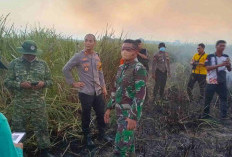 Karhutla Way Kambas Padam, Petugas Lanjutkan Pembasahan Cegah Api Kembali