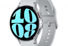 5 Jam Tangan Terbaik untuk Perenang yang Paling Diburu di 2026