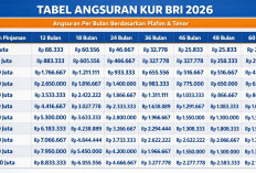 Peluang UMKM di 2026, KUR BRI Tawarkan Cicilan Ringan dan Plafon Fleksibel