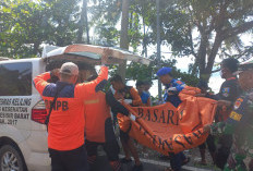 Bocah Hilang Saat Mandi di Pantai Kota Karang Ditemukan Meninggal Dunia