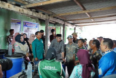 Gubernur Mirza Tinjau Way Kanan, Jembatan Rusak hingga POC Hayati Jadi Perhatian