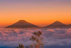 Gunung Telomoyo, Panorama Eksotis Negeri Awan yang Mudah Dijangkau