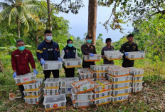 2.775 Burung Dilepasliarkan Usai Diamankan di Pelabuhan Bakauheni