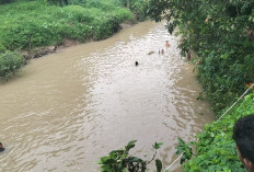 Breaking News : Seorang Pemancingan Dikabarkan Hilang Saat Mancing Di Sungai Sidodadi Asri 