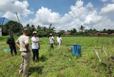 Koperasi IJP Perkuat Kolaborasi Pengembangan Pupuk Cair Magot di Lampung Timur