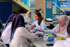 PLN UID Lampung dan PMI Kumpulkan 70 Kantong Darah Lewat Donor Darah Rutin
