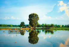 Danau Tirta Gangga, Oase Tenang di Jantung Lampung Tengah
