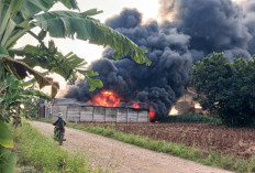 Gudang Diduga Penimbunan Solar Terbakar di Pesawaran