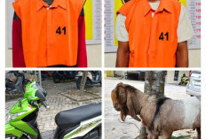 Polisi Ungkap Komplotan Sindikat Pencurian Hewan Ternak di Tanjung Bintang