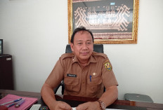 Dinas Perdagangan Kota Bandar Lampung Jelaskan Penyebab Lonjakan Harga Cabai Jelang Akhir Tahun