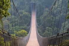 Jembatan Gantung Situ Gunung, Ikon Petualangan Alam Sukabumi