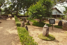 Batu Kenong Bondowoso, Situs Megalitikum Penuh Misteri dan Nilai Sejarah