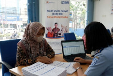 KUR BRI 2026 Resmi Berlaku, Plafon Nasional Tembus Rp320 Triliun
